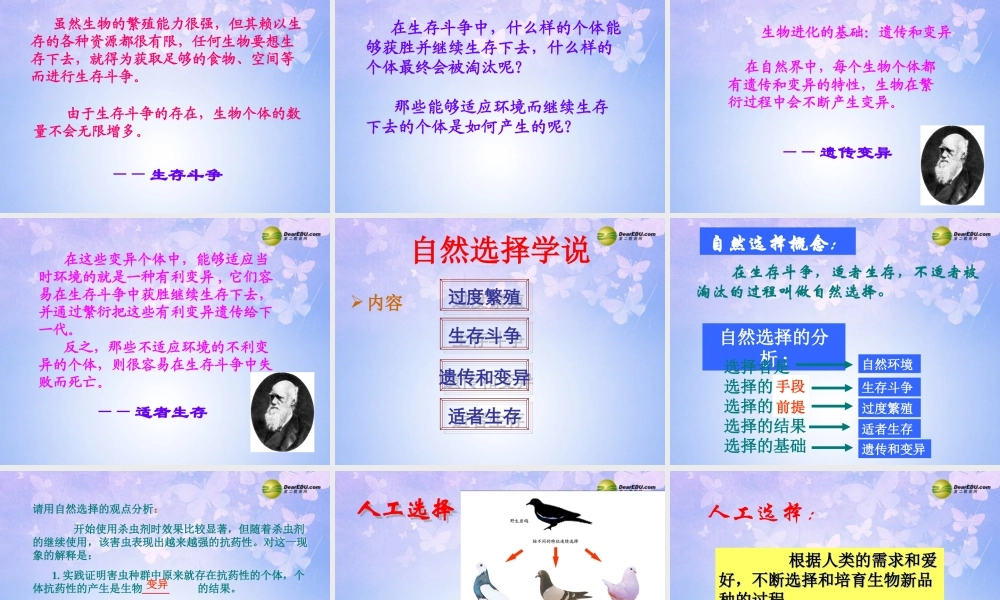 八年级生物下册 进化的原因课件1 济南版 课件