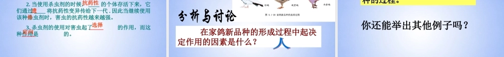 八年级生物下册 进化的原因课件1 济南版 课件