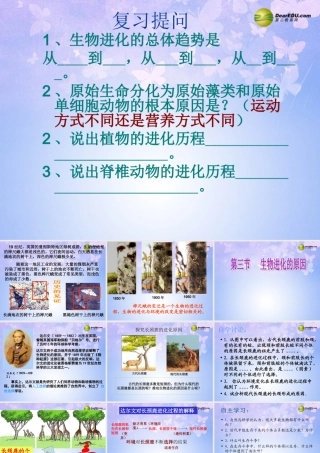 八年级生物下册 进化的原因课件1 济南版 课件