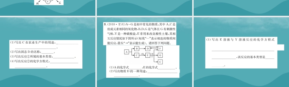 广西中考化学 中考6大题型轻松搞定 题型复习(二)推断题之1 给定物质提示物质型课件