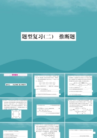 广西中考化学 中考6大题型轻松搞定 题型复习(二)推断题之1 给定物质提示物质型课件