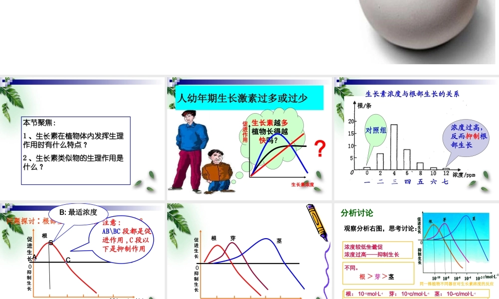 终生长素的生理作用