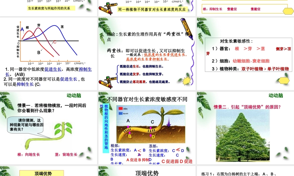 终生长素的生理作用