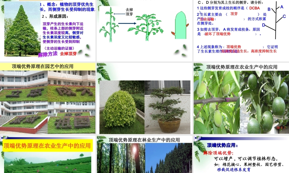 终生长素的生理作用