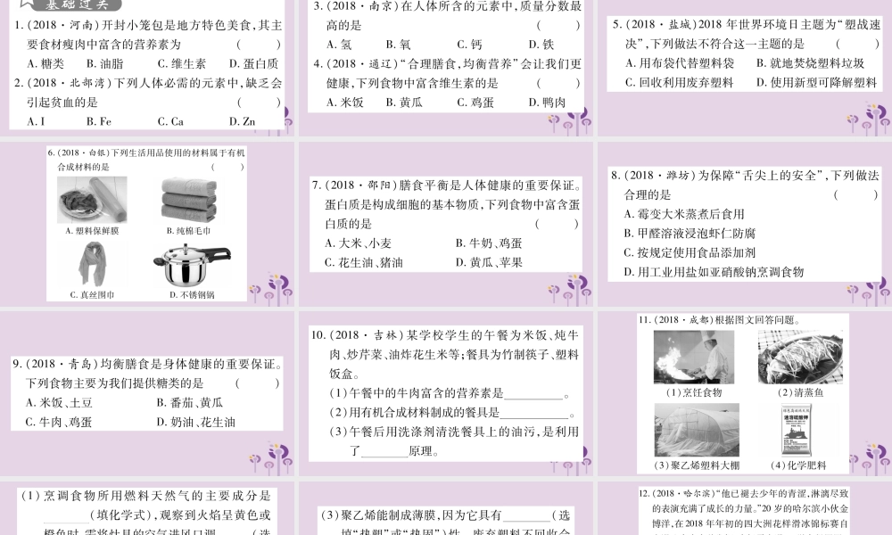 中考化学复习 第一部分 基础知识 第一单元 常见的物质 第8讲 化学与社会(精练)课件