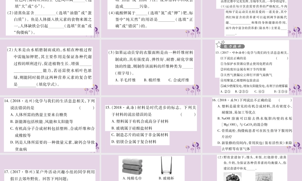 中考化学复习 第一部分 基础知识 第一单元 常见的物质 第8讲 化学与社会(精练)课件