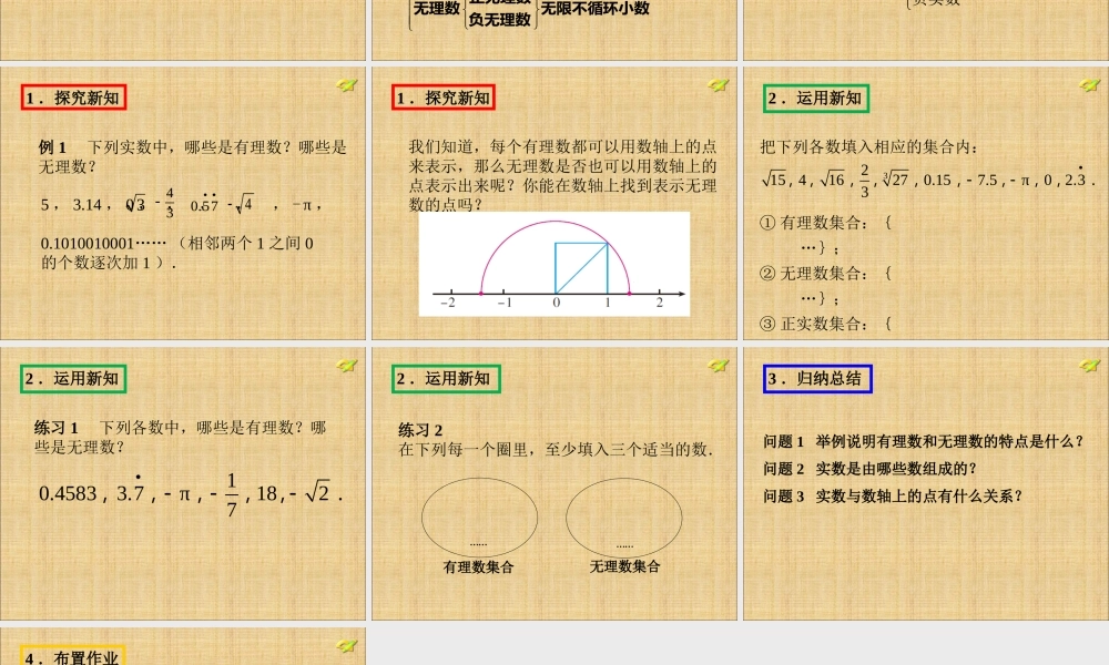 实数(第一课时)-(6)