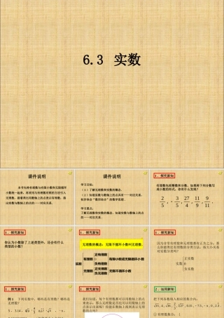 实数(第一课时)-(6)