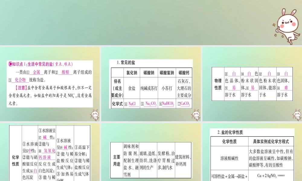 中考化学准点备考复习 第一部分 教材系统复习 第11讲 盐 化肥课件 新人教版 课件