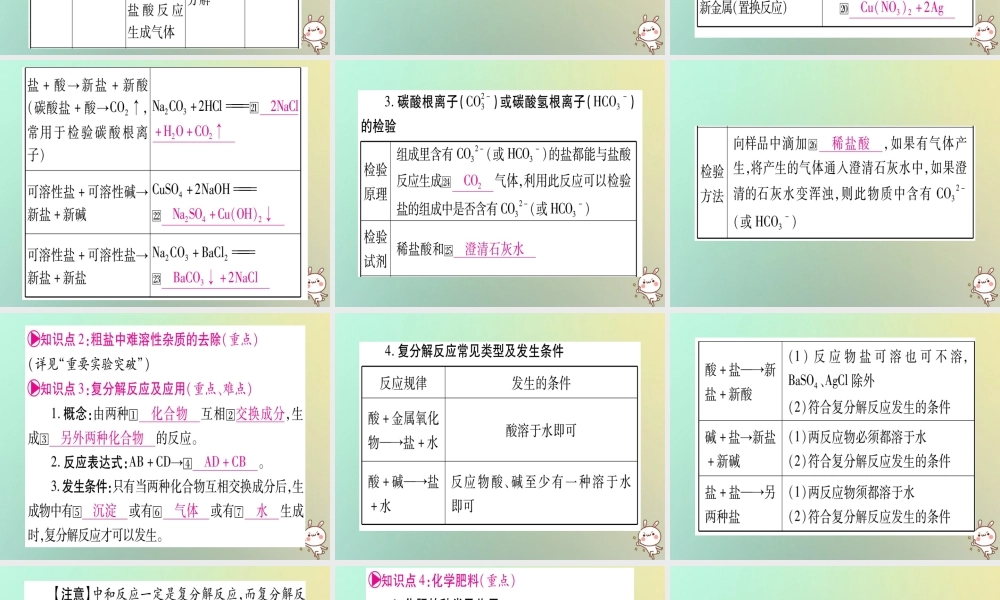 中考化学准点备考复习 第一部分 教材系统复习 第11讲 盐 化肥课件 新人教版 课件