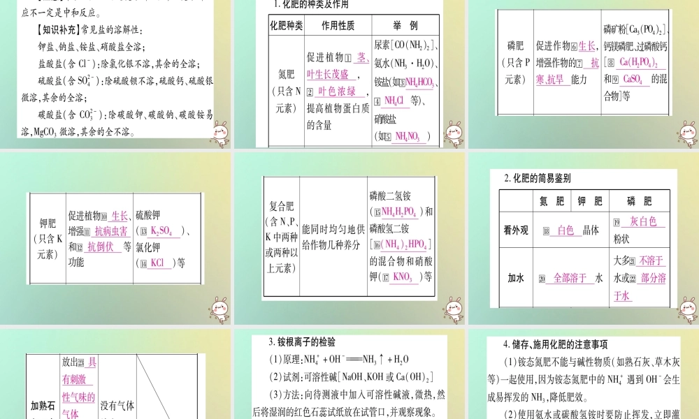 中考化学准点备考复习 第一部分 教材系统复习 第11讲 盐 化肥课件 新人教版 课件