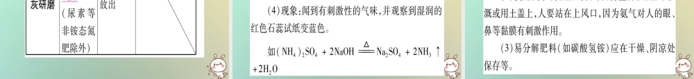 中考化学准点备考复习 第一部分 教材系统复习 第11讲 盐 化肥课件 新人教版 课件