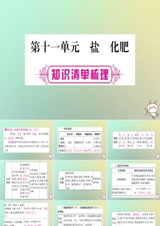 中考化学准点备考复习 第一部分 教材系统复习 第11讲 盐 化肥课件 新人教版 课件