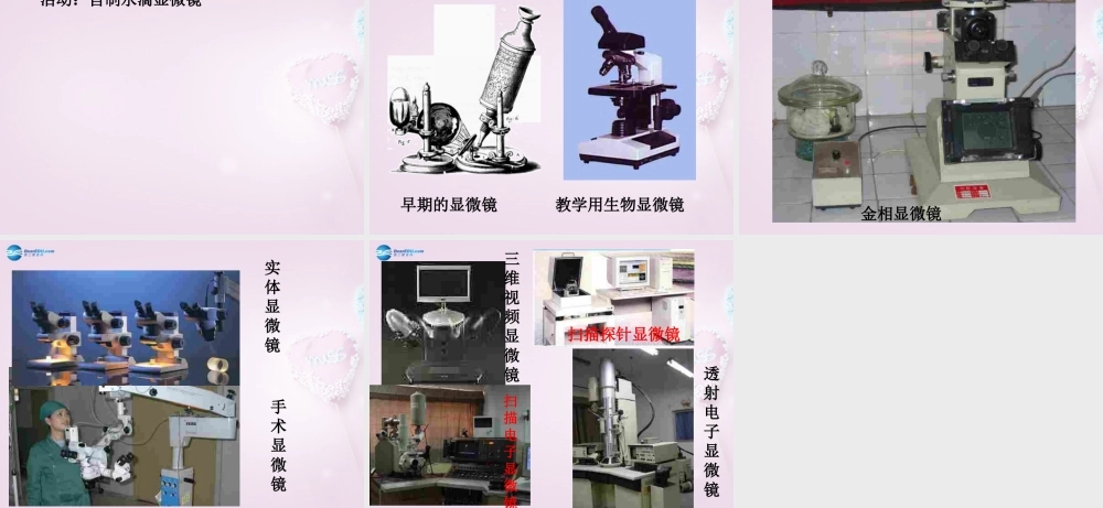 山东省泰安新泰市八年级物理上册 5.5 显微镜和望远镜课件 (新版)新人教版 课件