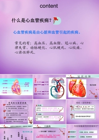 八年级生物下册 25.2 威胁健康的主要疾病课件 (新版)苏教版 课件