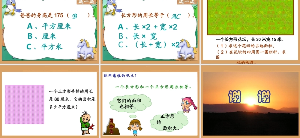 长方形、正方形的面积计算