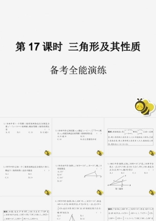 中考数学复习 第17课时 三角形及其性质 4 备考全能演练(课后作业)课件