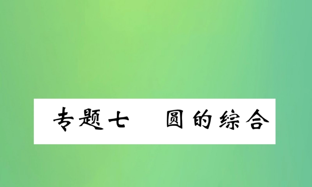 中考数学复习 专题7 圆的综合(精讲)课件