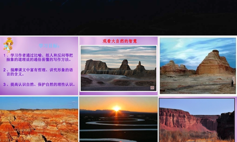 八年级语文下册 11 敬畏自然课件 新人教版 课件