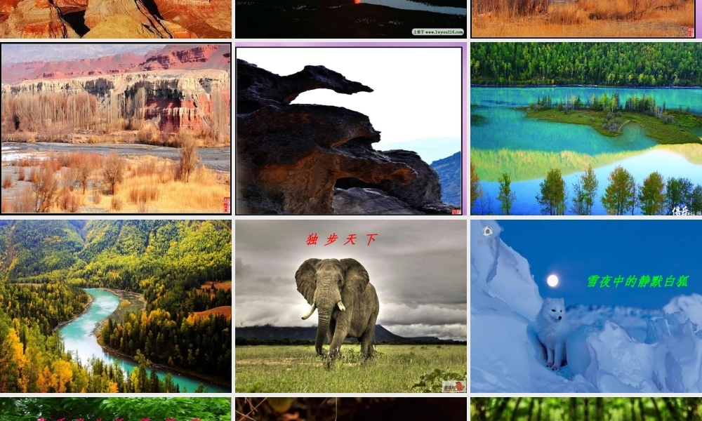 八年级语文下册 11 敬畏自然课件 新人教版 课件