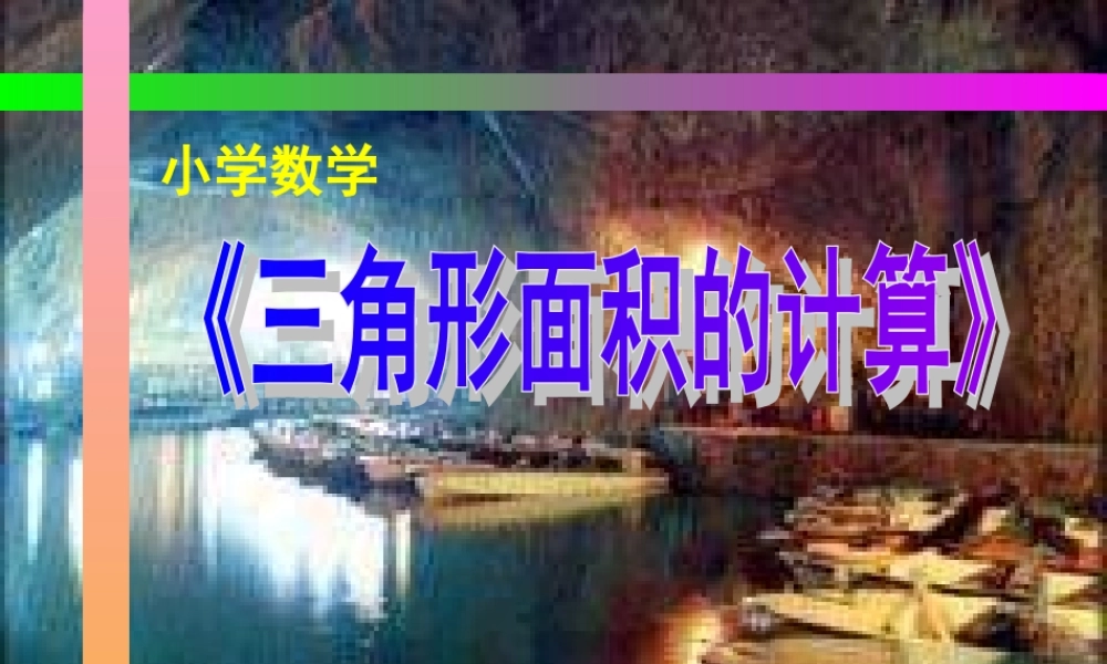 《三角形面积的计算》