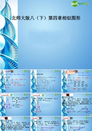 八年级数学下册 第四章相似图形复习课件 北师大版 课件
