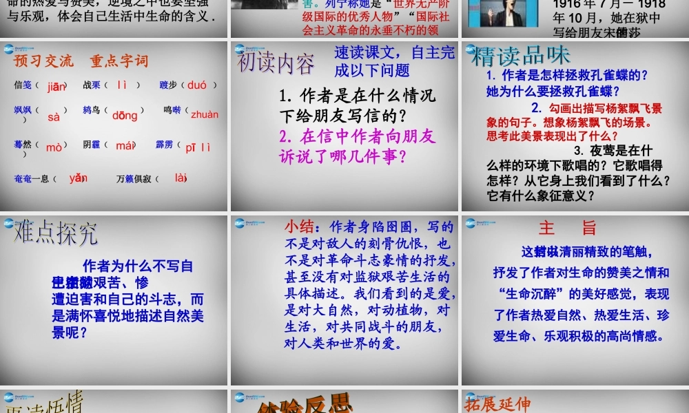 八年级语文下册 5 狱中书简课件 (新版)北师大版 课件