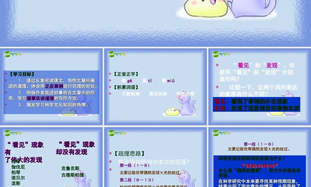 八年级语文下册(我看见了我的骨头)课件 沪教版 课件