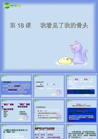 八年级语文下册(我看见了我的骨头)课件 沪教版 课件