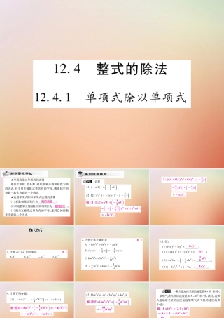 八年级数学上册 第12章 整式的乘除 12.4 整式的除法 12.4.1 单项式除以单项式课时检测课件 (新版)华东师大版 课件