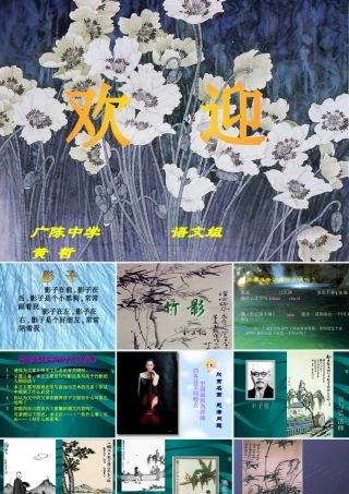 七年级语文竹影课件1 鲁教版 课件