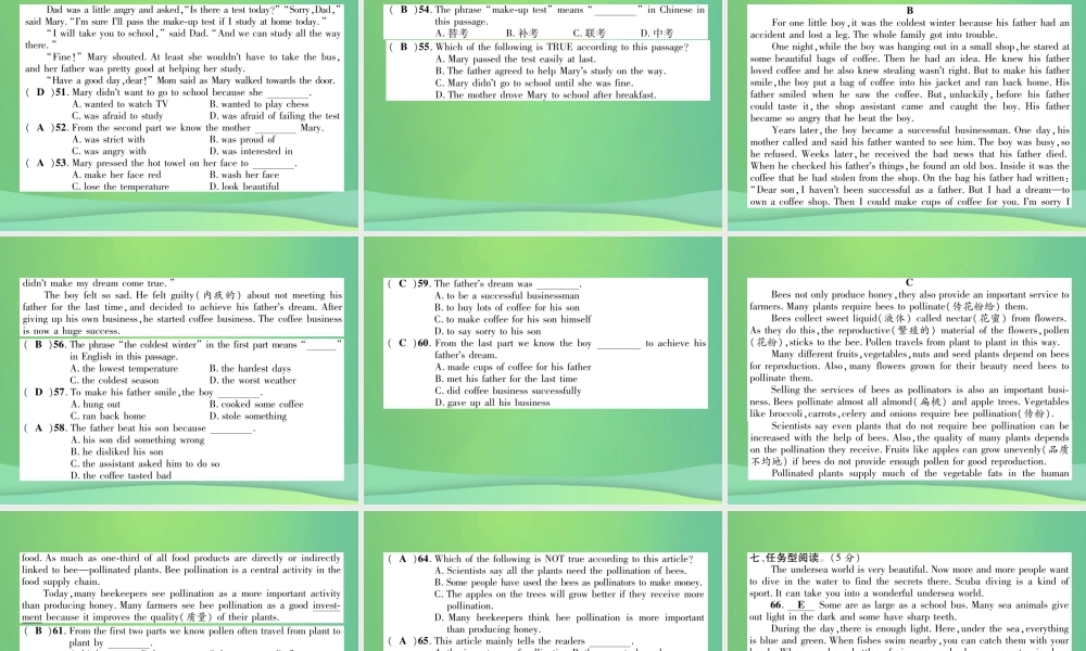 九年级英语全册 中考模拟题二课件 (新版)人教新目标版 课件