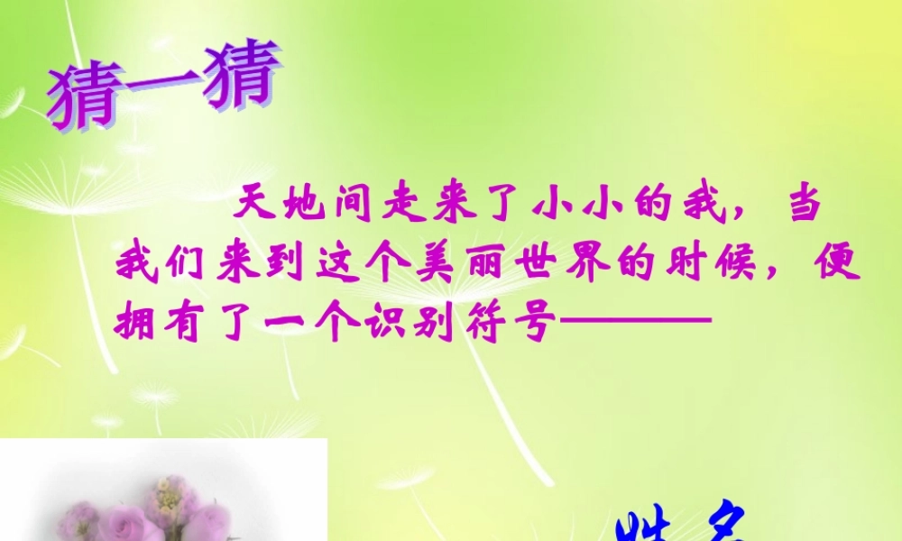 中学七年级政治上册(4.1 我们的姓名和名誉)课件3 苏教版 课件