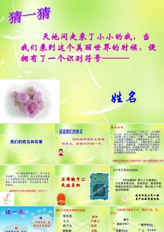 中学七年级政治上册(4.1 我们的姓名和名誉)课件3 苏教版 课件