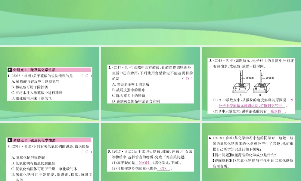中考化学总复习 教材考点梳理 第七单元 常见的酸和碱课件 鲁教版 课件
