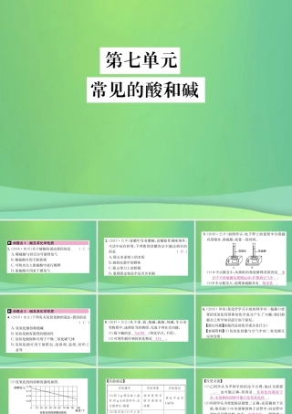 中考化学总复习 教材考点梳理 第七单元 常见的酸和碱课件 鲁教版 课件