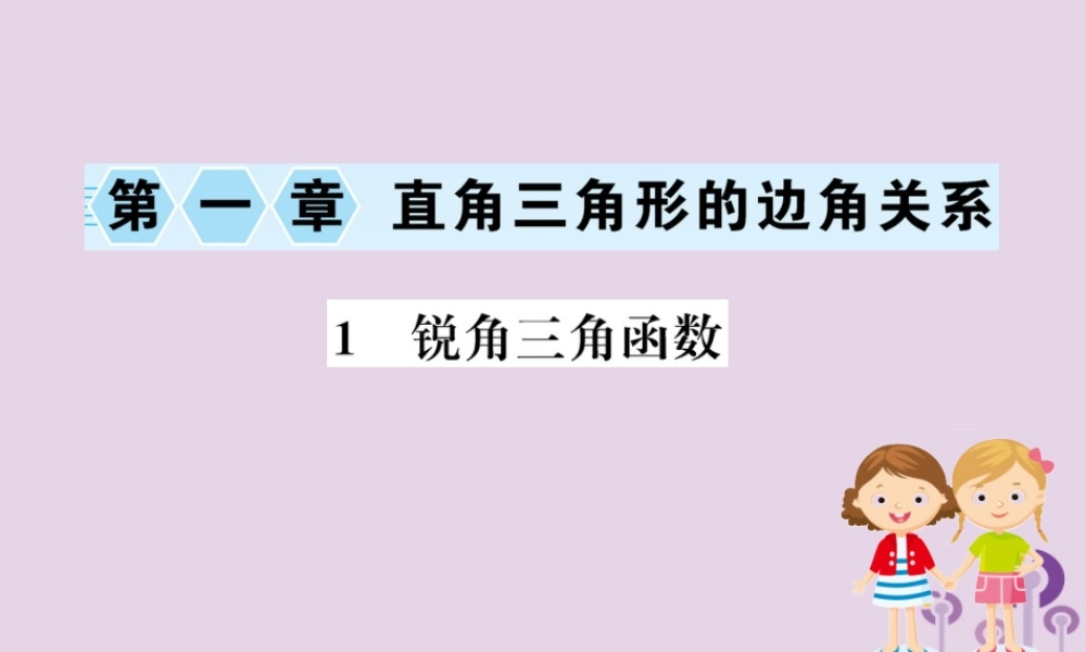 九年级数学下册 第一章 直角三角形的边角关系 11 锐角三角函数训练课件 (新版)北师大版 课件