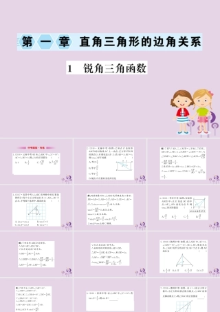 九年级数学下册 第一章 直角三角形的边角关系 11 锐角三角函数训练课件 (新版)北师大版 课件