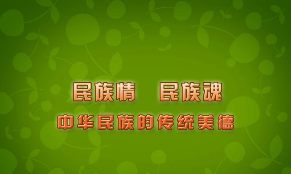 八年级政治下册 第18课(民族情 民族魂)课件2 苏教版 课件