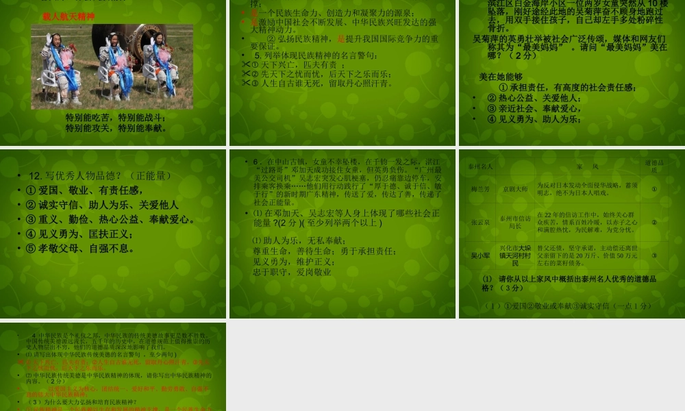 八年级政治下册 第18课(民族情 民族魂)课件2 苏教版 课件