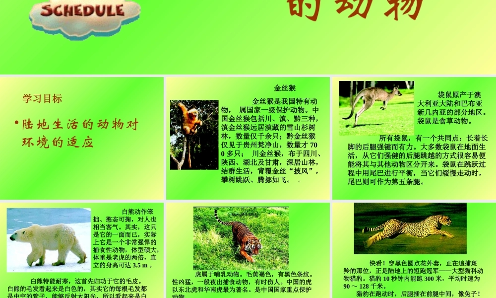 山西地区八年级生物第二节陆地生活的动物课件 新课标 人教版 课件