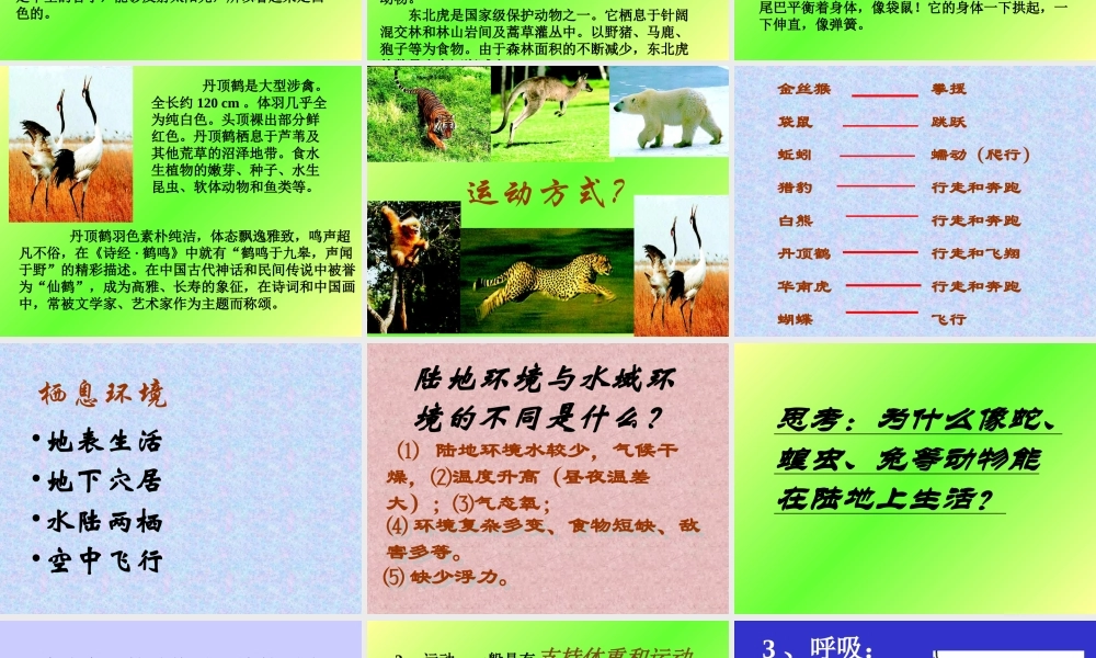 山西地区八年级生物第二节陆地生活的动物课件 新课标 人教版 课件