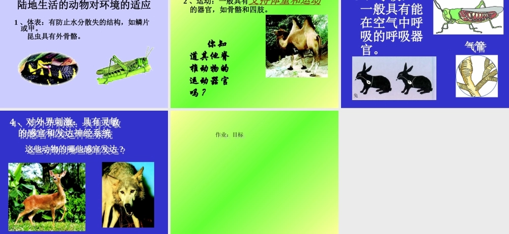 山西地区八年级生物第二节陆地生活的动物课件 新课标 人教版 课件