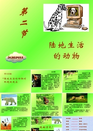 山西地区八年级生物第二节陆地生活的动物课件 新课标 人教版 课件