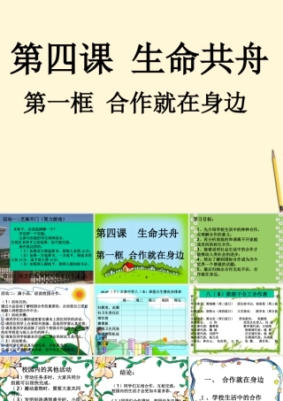 八年级政治下册 第四课(生命共舟)课件 人民版 课件