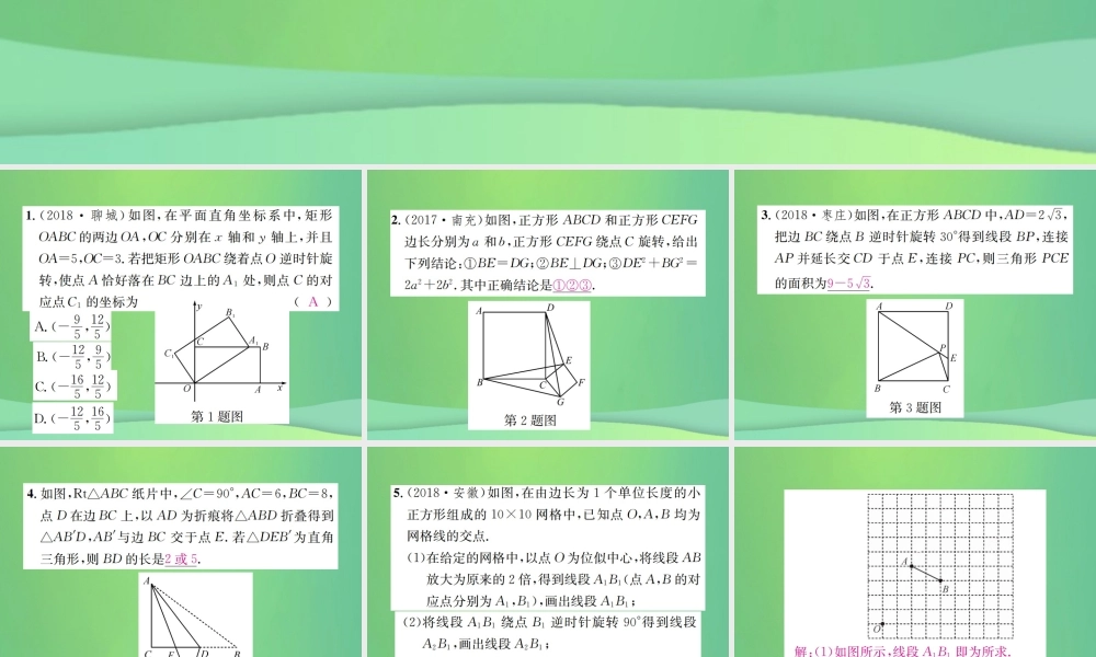 中考数学复习 第七单元 图形变化 滚动小专题(八)课件