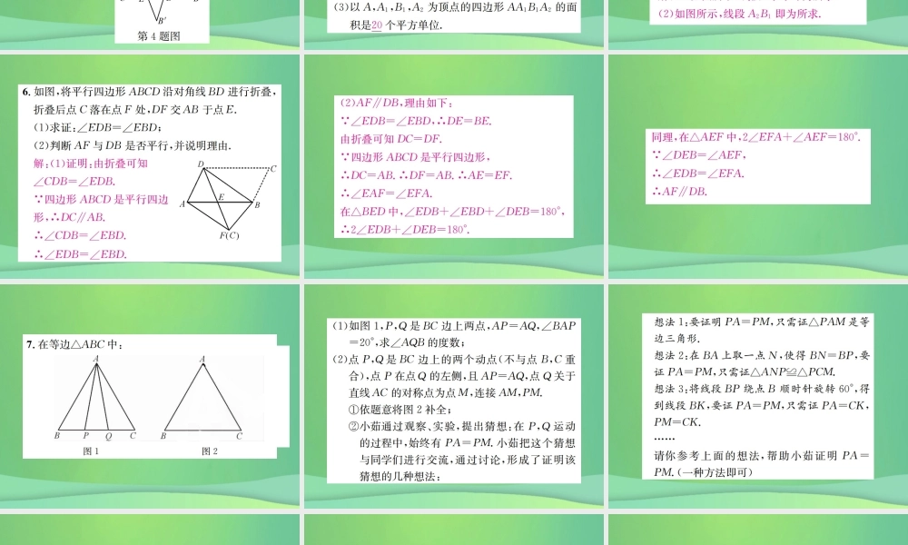 中考数学复习 第七单元 图形变化 滚动小专题(八)课件