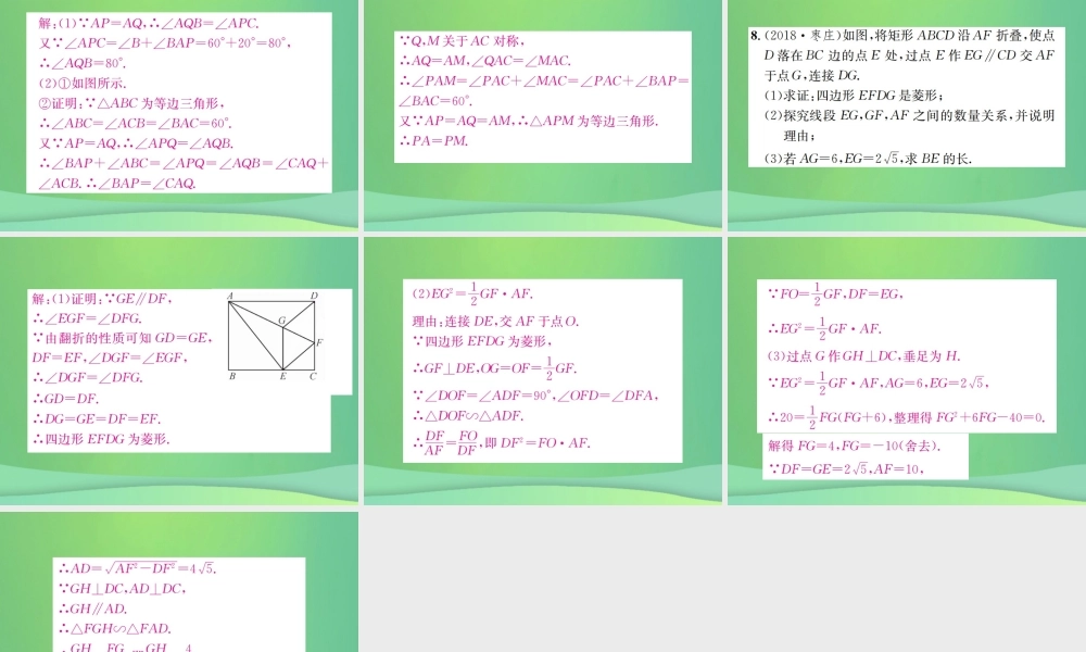 中考数学复习 第七单元 图形变化 滚动小专题(八)课件