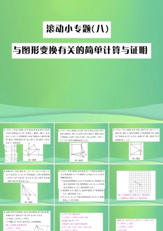 中考数学复习 第七单元 图形变化 滚动小专题(八)课件