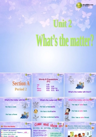 八年级英语上册(Unit 2 What's the matter Revision Section AP2)课件 人教新目标版 课件